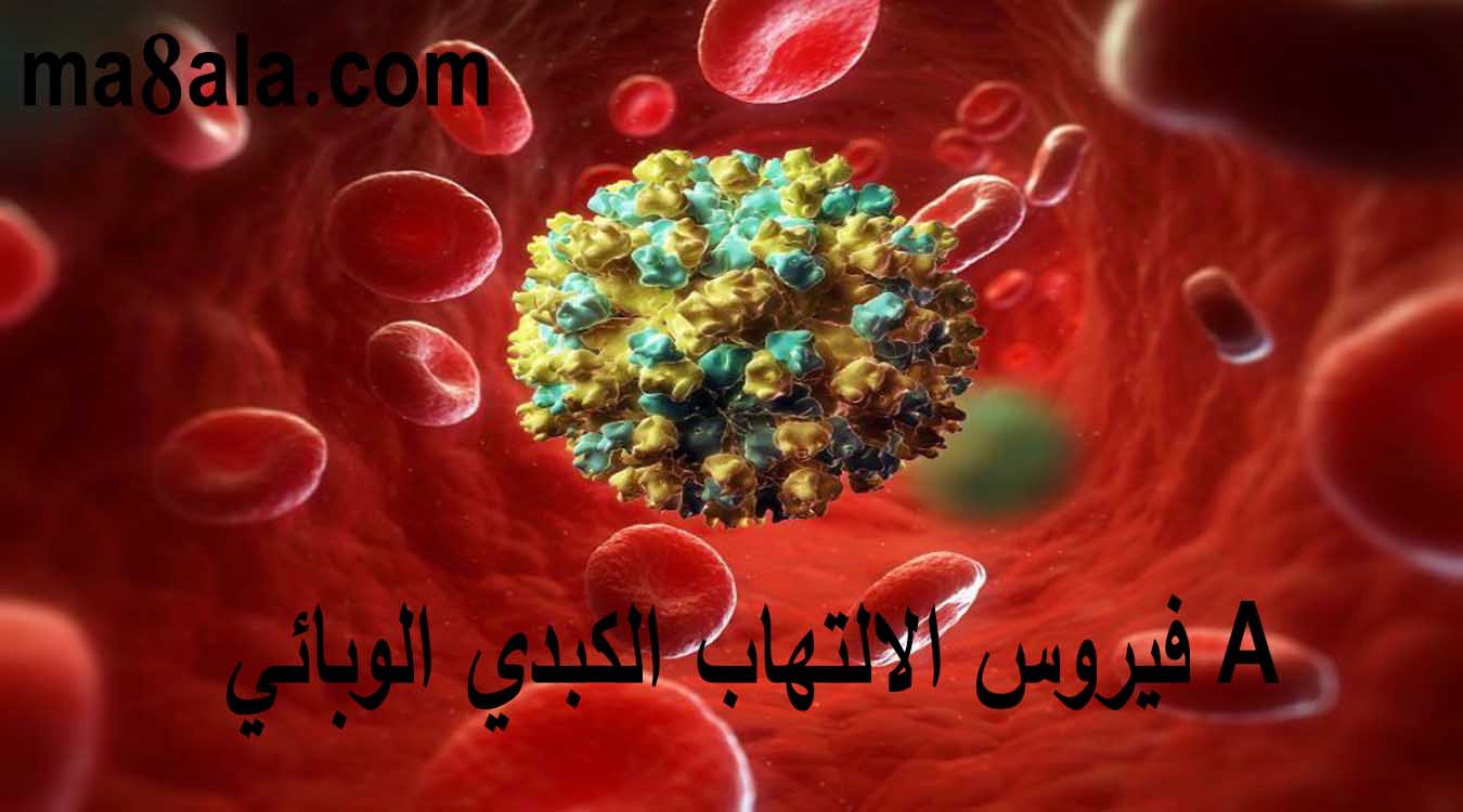 فيروس الالتهاب الكبدي الوبائي A